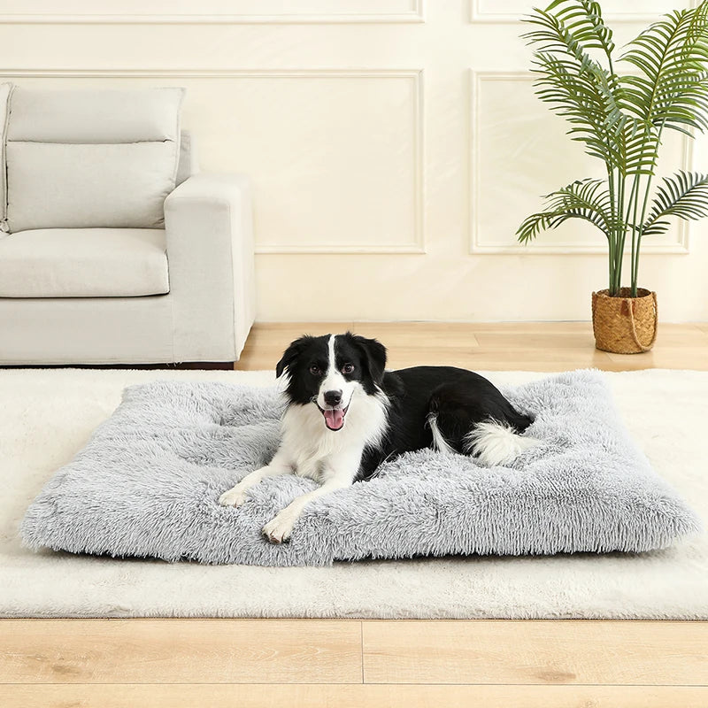 Orthopedic Calming Dog Bed