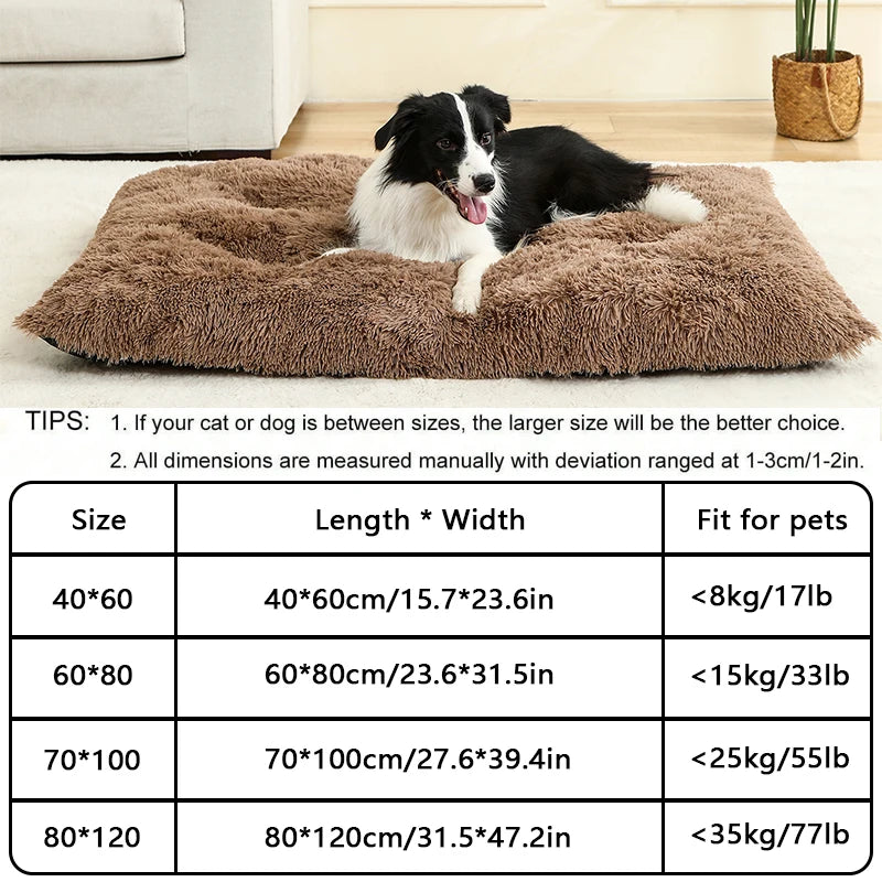 Orthopedic Calming Dog Bed