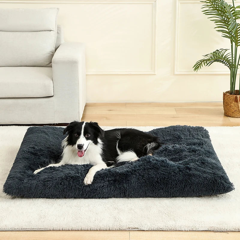 Orthopedic Calming Dog Bed