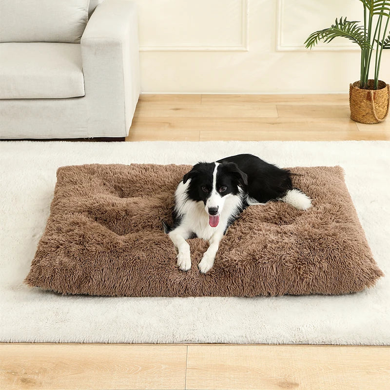 Orthopedic Calming Dog Bed