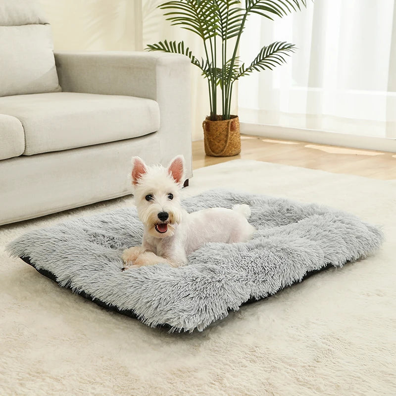 Orthopedic Calming Dog Bed