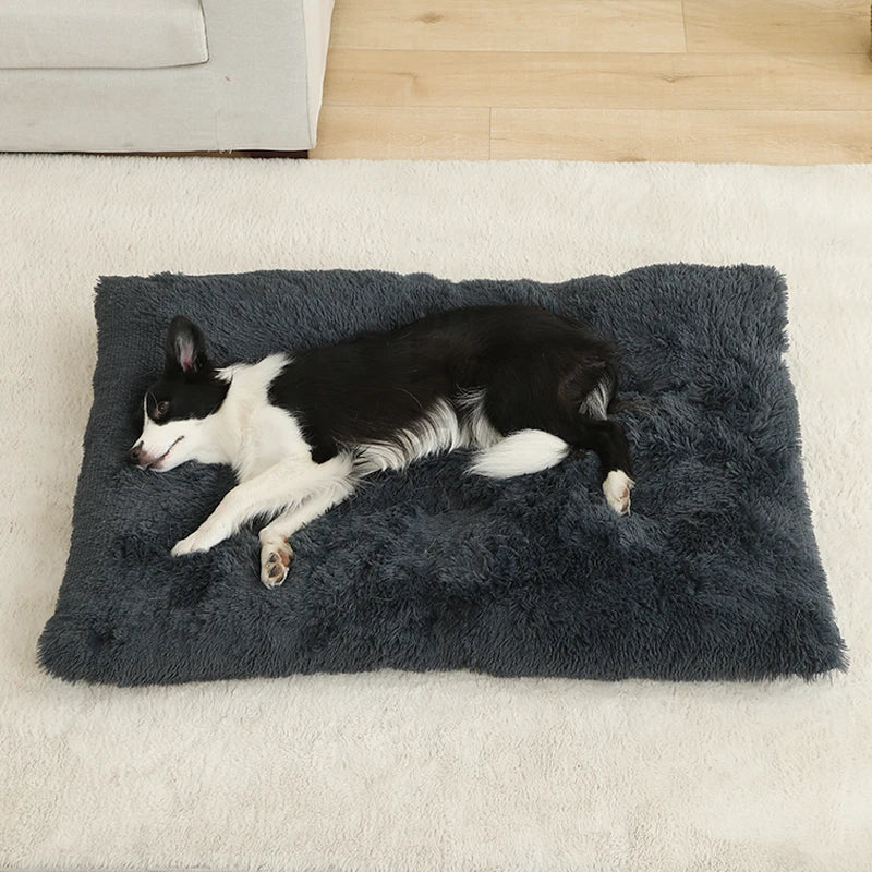 Orthopedic Calming Dog Bed